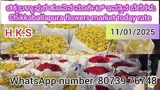 Chikballapura flowers market today rate 11/01/2025 ಚಿಕ್ಕಬಳ್ಳಾಪುರ ಹೂವಿನ ಮಾರ್ಕೆಟ್‌ ಇವತ್ತಿನ ಬೆಲೆಗಳು 💛❤️