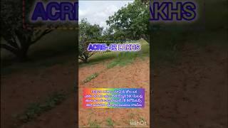 20 Acres🏡 mango garden sale ||🥭 Rajpet mandal, Bhuvanagiri Yadadri  district || Acre-42 lakhs, Yadad