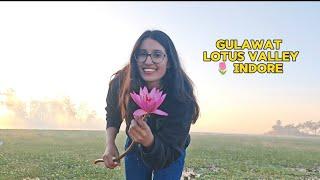 lotus valley🌷🌷🌷🌷🌷🌷🌷🌷indore