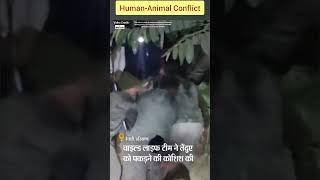 रेवाड़ी के कनुका  गाँव में घुसा तेंदुआ 🐆