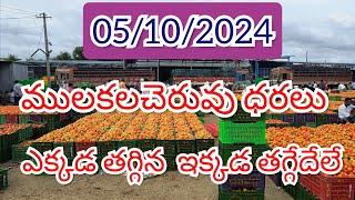 05/10/ 2024 🍅|| ములకలచెరువు టమోటా ధరలు టుడే 🍅|| ములకలచెరువు టమోటా మార్కెట్ రేట్స్ 🍅