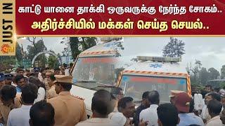 Pandalur | Elephant News | People Protest | Sun News