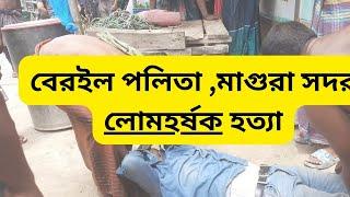 মানুষের বিবেক আজ কোথায় ?? লোম হর্ষক হত্যাযজ্ঞ || মাগুরা সদর ||  বেরইল পলিতা