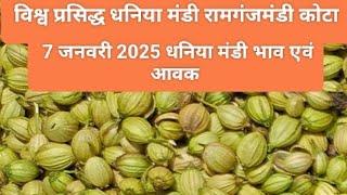 Today dhaniya bajar | 7 जनवरी 2025 dhaniya bajar | Today coriander bajar| रामगंजमंडी धनिया बाजार भाव