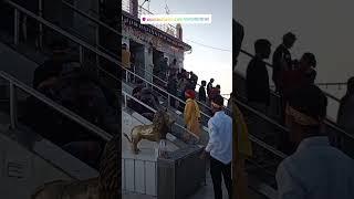 मां शारदा भवानी का मंदिर मध्य प्रदेश के सतना में स्थित मैहर वाली माता जी का मंदिर दृश्य‼️🙏🙏‼️⚜️🔱⚜️‼️