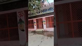 शालू ने बड़े प्रेम भाव से मंदिर की सफाई करी || श्यामपुर हादीपुर का मंदिर🛕||