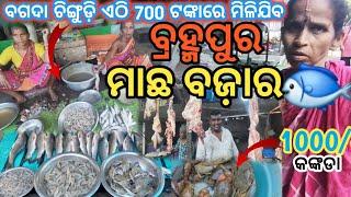 Explore ବ୍ରହ୍ମପୁର ମାଛ 🐟 market  || odia lifestyle vlog ||#berhampur food