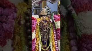 Srivilliputhur Sri Andal Naachiyar Dhivya Sevaiஸ்ரீவில்லிபுத்தூர் ஸ்ரீ ஆண்டாள் நாச்சியார் திவ்ய சேவை