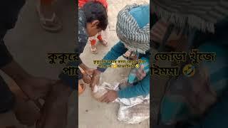 কুকুরের বাচ্চার কদম জোড়া কেটে ফেলা হচ্ছে কিন্তু খুঁজে পাওয়া যাচ্ছে না🥱🤣