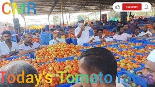 Today's Tomato rates at CMR Mandi, Kolar Karnataka 🍅🍅🍅🍅🍅🍅🍅 December 20, 2024