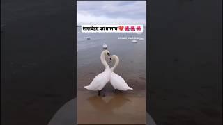 अपना तालबेहट का तालाब ❤️