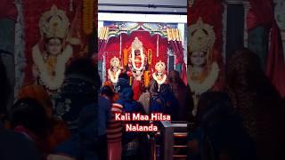 Kali maa hilsa Nalanda Aarti