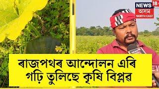 Sivasagarৰ যিকোনো বিষয়তে সৰৱ হৈ থকা ভাইটি পাংগিঙে ৰাজপথৰ আন্দোলন এৰি গঢ়ি তুলিছে কৃষি বিপ্লৱ। N18V