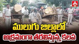 ములుగు జిల్లాలో అక్రమంగా తరలిస్తున్న కలప | Illegal timber being transported in Mulugu district