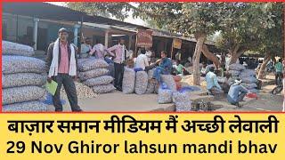 मीडियम मैं अच्छी लेवाली के साथ बाजार समान। 29 Nov Ghiror Mandi bhav। Today Garlic price