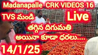 14/1/25 Madanapalle Tomato price today 🍅 మదనపల్లె టమోటా రేట్లు