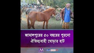 ৫০ বছরের ঐতিহ্যবাহী ঘোড়ার হাট | Horse Market | Jamalpur | Traditional Horse | Movie Bangla Tv