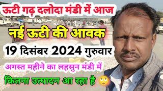 दलोदा मंडी में आज किसान भाइयों से ऊटी पर चर्चा,19 दिसंबर 2024 |