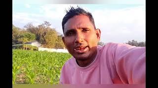 Assam Barpeta 🎞মা কই খেতের? ব্লক ভিডিও। আপনাদের মাঝে দিলাম। ✅️