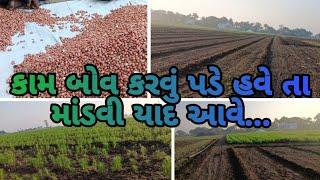 કામ બોવ કરવું પડે હવે તા માંડવી યાદ આવે....