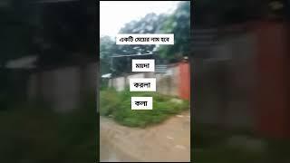 একটি মেয়ের নাম হবে!