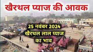 25 नवंबर 2024 खैरथल प्याज मंडी की आवक | khairthal pyaj Mandi report  | alwar onion report