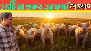 ঝাড়গ্রামে 25 টি মায়ের ফর্ম। pig farm in Jhargram/pig farm