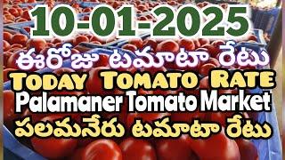 పలమనేరు 🍅🍅🍅టమాటో మార్కెట్ ధరలు 10-01-2025 ||ఈ రోజు టమోటా ధర Palamaner Market||ckgowthamvlogs