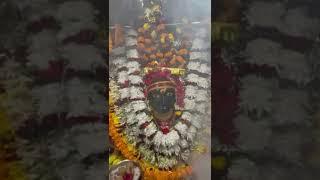 आज 09/01/2025 दिन गुरूवार कि सुबह थावे माँ भगवती के श्रृंगार पूजा एवं आरती के बाद दिव्य दर्शन