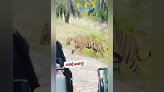 अपना सवाई माधोपुर#fannyvideo #viralvideo #youtubeshorts #meenageet vijay