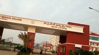 PULIVENDULA MEDICAL COLLEGE