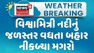 Vadodara News : વિશ્વામિત્રી નદીનું જળસ્તર વધતા બહાર નીકળ્યા મગરો | Monsoon 2023 | Gujarati Samachar