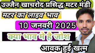 matar mandi Khachrod | मटर मंडी खाचरोद | 10 जनवरी 2025 | आज का लाइव भाव KhachrodMandibhav