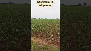khammam Allipuram Telangana state ఖమ్మం