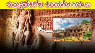 Udayagiri Caves in MP, Historical Splendor, Sculptural, ఉదయగిరి గుహలు: చారిత్రక వైభవం మరియు శిల్పకళ