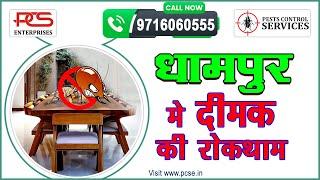 धामपुर में दीमक का इलाज करवाएं | Dhampur mein dimak ka ilaaj karvayen 9716060555