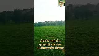 पूगल में 60 बिघा मूंगफली बेल्ट ट्यूबवेल लगा 🌱