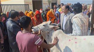 ग्राम नुनबई ग्राम पंचायत सैदनगर ब्लॉक डकोर जनपद जालौन के SHGs की महिलाएं संचालित करेंगी गौ शाला