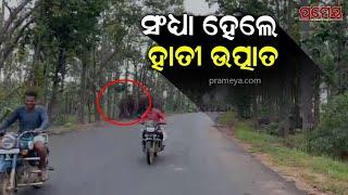 Keonjhar | କେନ୍ଦୁଝର ସଦରରେ ବଣୁଆ ହାତୀଙ୍କ ଆତଙ୍କ, ସନ୍ଧ୍ୟା ହେଲେ ହେଉଛନ୍ତି ଜନବସତି ମୁହାଁ | Prameya