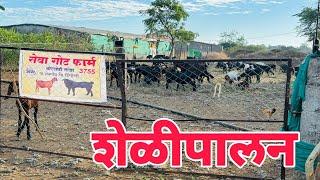 गावरान अर्धबंदीस्त शेळीपालन सेवा गोट फार्म बोरखेडी तांडा ता सेनगाव ll seva goat farm