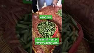 बदनावर मंडी मटर भाव 16 दिसंबर 2024