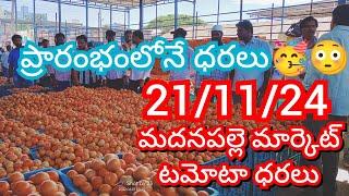 21-11-24 Madanapalle Tomato Market price Today || Today Tomato Market Rate in Madanapalle