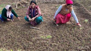 पड़ोस वाली अंटी जी से कुछ पुरानी बातें