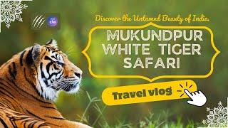 Mukundpur A Wildlife Adventure You Won't Want to Miss 🦁🐯