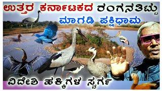 ಮಾಗಡಿ ಪಕ್ಷಿಧಾಮ🦜🦢|ಉತ್ತರ ಕರ್ನಾಟಕ ರಂಗನತಿಟ್ಟು|Magadi Bird Sanctuary Gadag