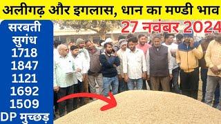 अलीगढ़ और इगलास🌾🌾 धान का मण्डी भाव || dhaan ka bhav || dhaan ka mandi rate//1509 dhan ka bhav