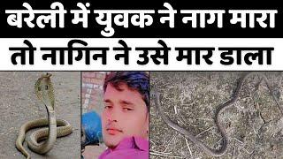 Bareilly News: बरेली में नाग की मौत के बदले मौत | Cobra Attack | Naag-Naagin | UP