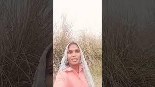 मोर 🙏घरवा चंदौली like 👌follow Karen jila Pratapgarh song video ❤️Shivani Ji