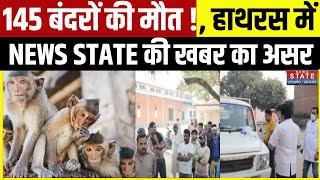 Monkeys Death In Hathras: 145 बंदरों की मौत !, हाथरस में NEWS STATE की खबर का हुआ असर