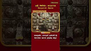 திருத்துறைப்பூண்டி ஸ்ரீ அபிஷ்ட வரதராஜ பெருமாள் ஆலய வைகுண்ட ஏகாதசி முன்னிட்டு சொர்க்க வாசல் திறப்பு